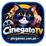 Cinegato Tv APK Latest Version 2026